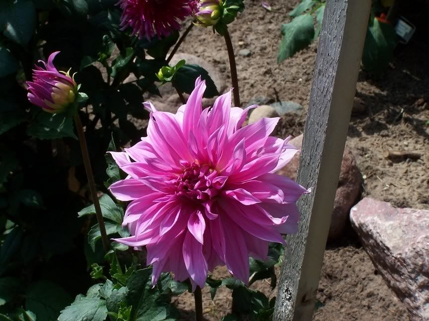 Image hosted by Photobucket.com