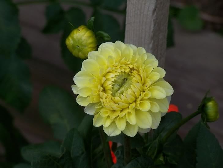 Image hosted by Photobucket.com