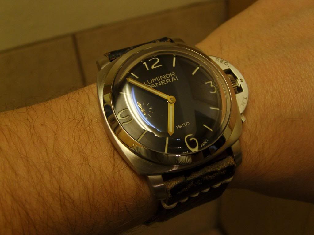 SNB11390.jpg