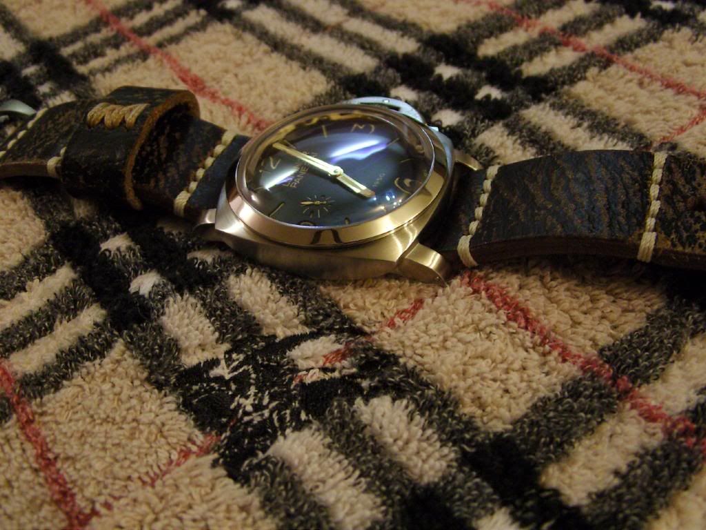 SNB11403.jpg