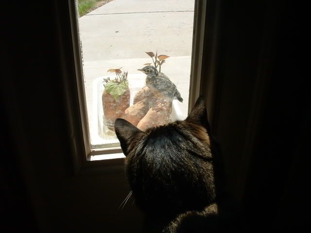  photo June6DempseyandRobin013.jpg