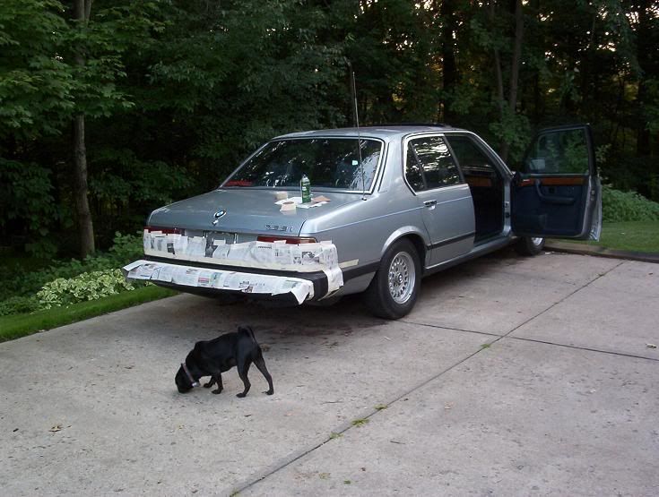 http://img.photobucket.com/albums/v426/TheOneStar00/1984%20BMW/ghettotrim2.jpg