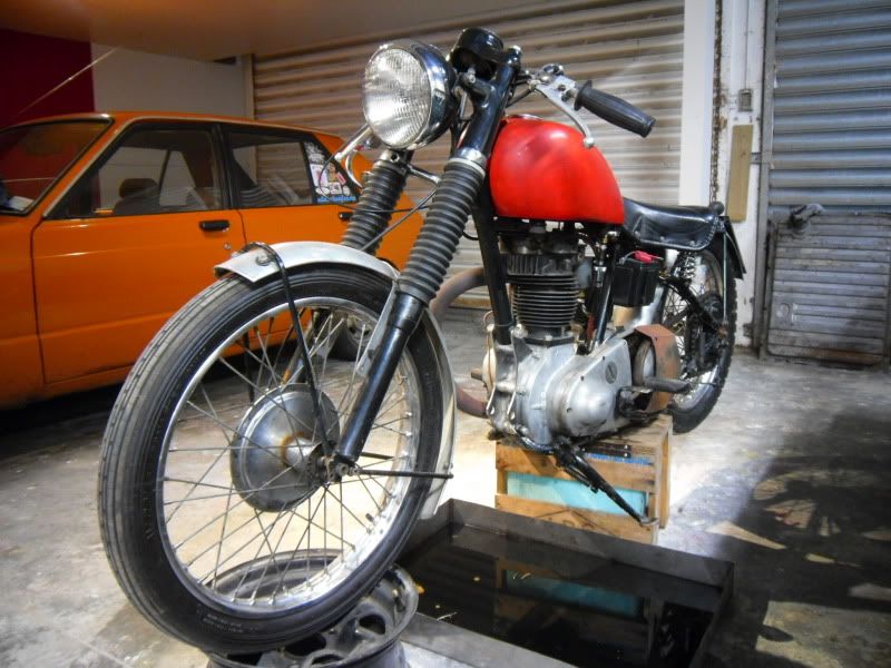 speedo showroom in cp