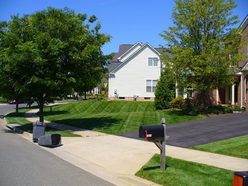 5-14-07001.jpg