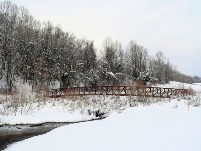 Snow2-12-2006022.jpg