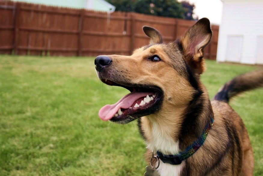 IMAGE: http://img.photobucket.com/albums/v427/Hybrid25/DPP_0005_2.jpg