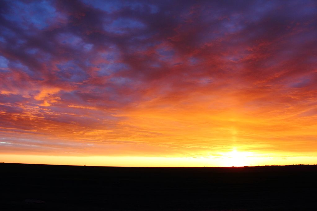 IMAGE: http://img.photobucket.com/albums/v427/mufasanubis/IMG_1005.jpg