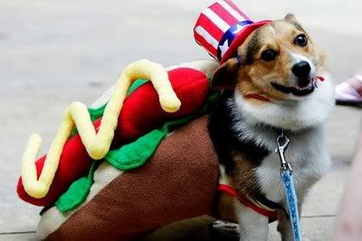 dog_costumes1.jpg