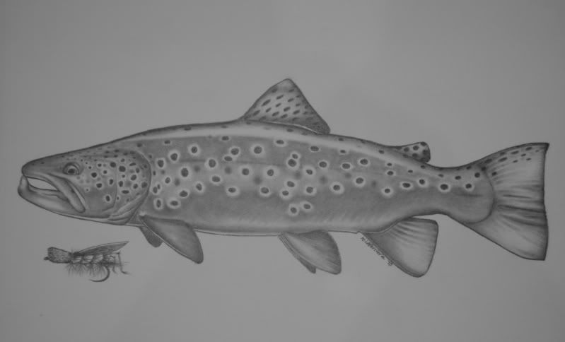 Re: Trout Tattoo - in progress Re: Trout Tattoo - in progress