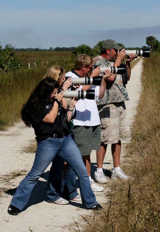 IMAGE: http://img.photobucket.com/albums/v428/cesstrelle/3022780049_d7df3325a4_o.jpg