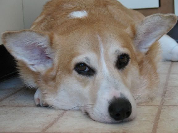 Tucker01_Aug2007.jpg