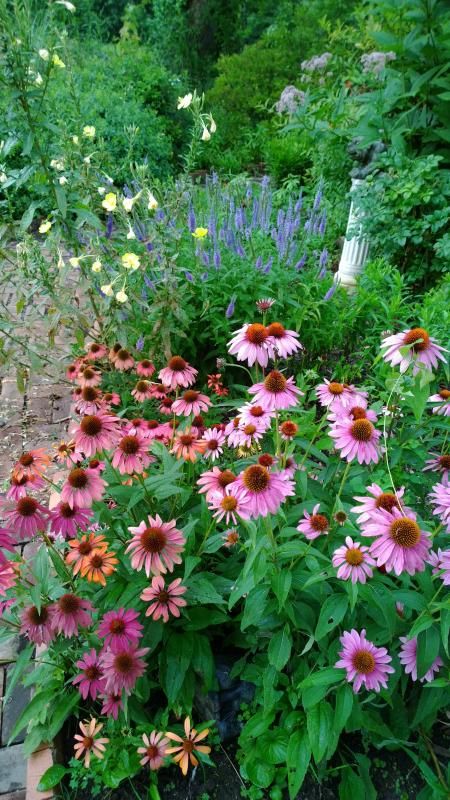  photo WP_20140719_19_55_01_Pro_zps675d8235.jpg