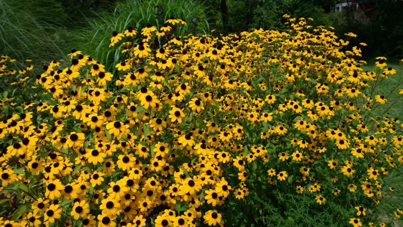  photo WP_20140817_14_44_42_Pro__highres_zpsb7b922d7.jpg