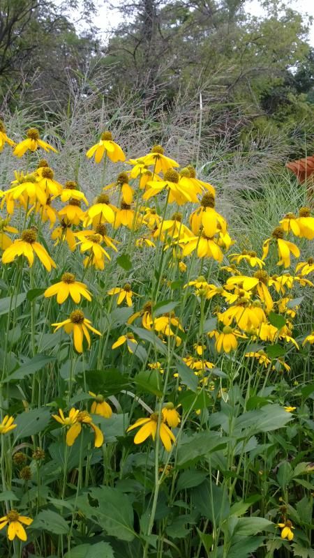  photo WP_20140906_17_27_53_Pro_zpsf715ea21.jpg