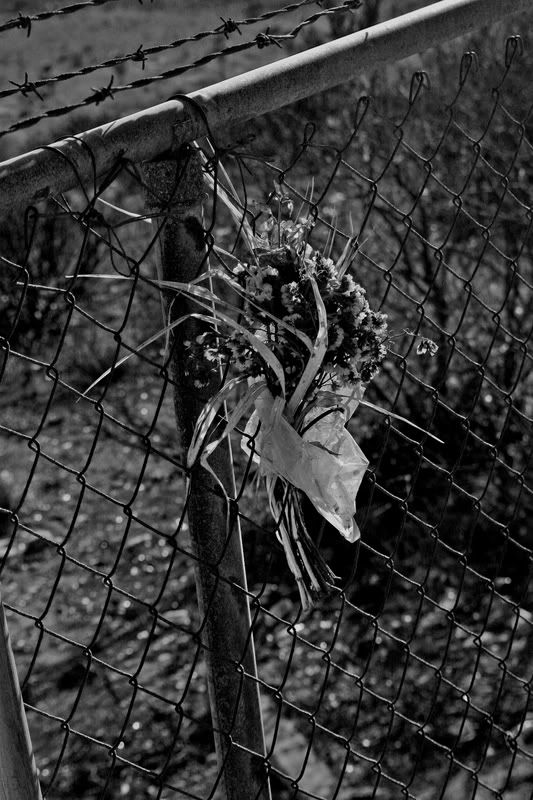 IMAGE: http://img.photobucket.com/albums/v429/taitcampbell/baja2.jpg