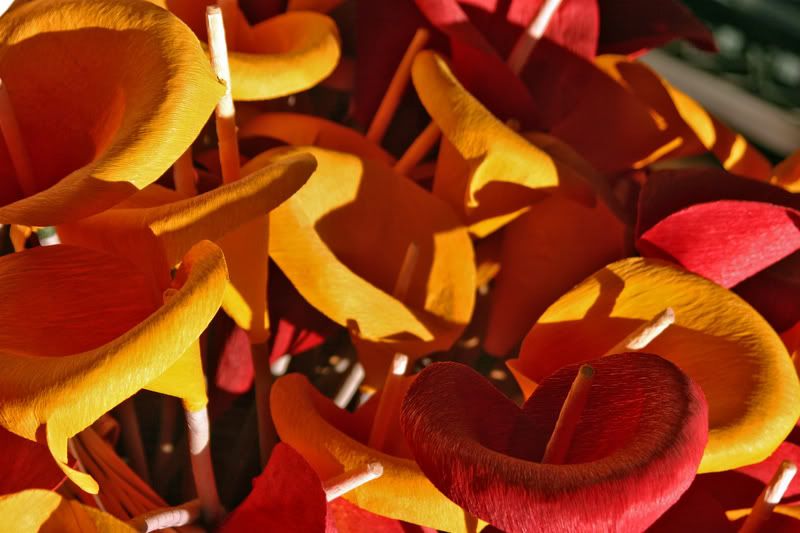 IMAGE: http://img.photobucket.com/albums/v429/taitcampbell/baja6.jpg