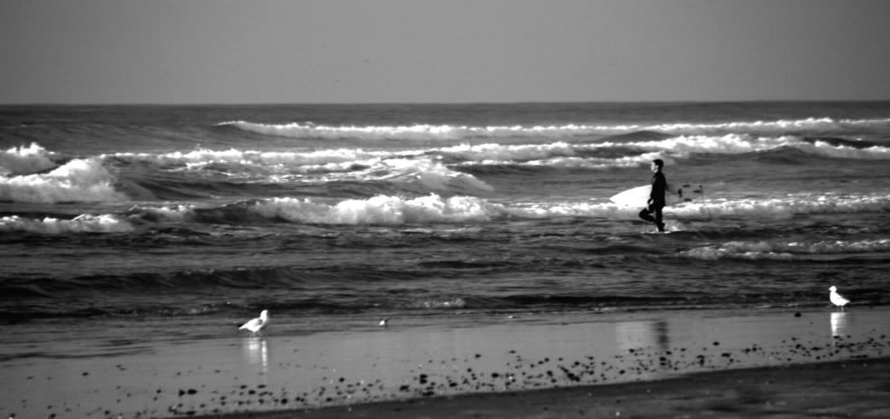 IMAGE: http://img.photobucket.com/albums/v429/taitcampbell/delmarsurfer4.jpg