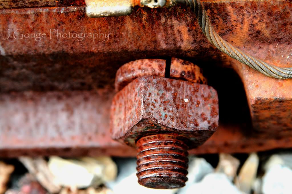 IMAGE: http://img.photobucket.com/albums/v429/vtecjag/IMG_2505.jpg