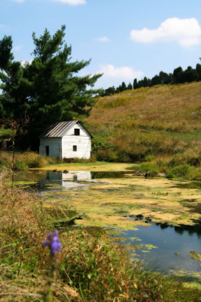 IMAGE: http://img.photobucket.com/albums/v429/vtecjag/gothicpond.jpg