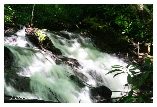 IMAGE: http://img.photobucket.com/albums/v429/vtecjag/pictures509.jpg