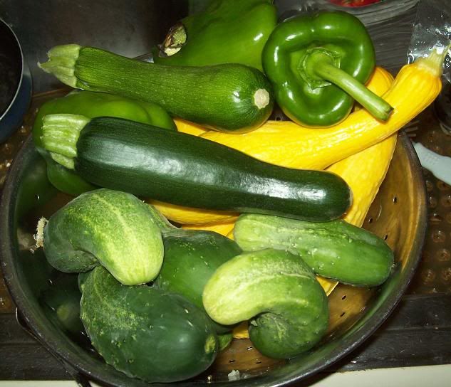 veggieharvest.jpg