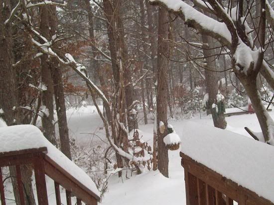 blizzard2009.jpg