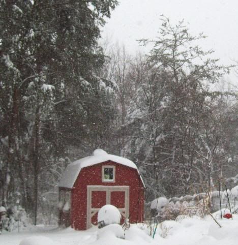 blizzard20102.jpg