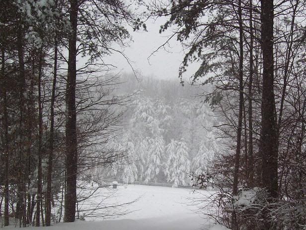 blizzard20103.jpg