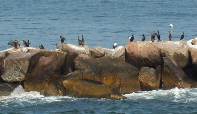 blockisland12.jpg