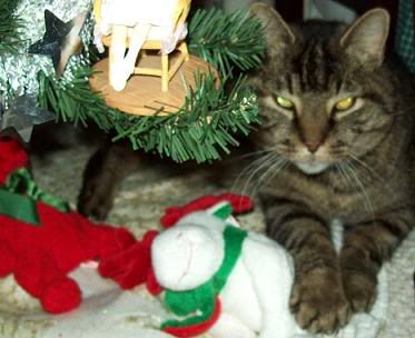 eddiechristmas20092.jpg