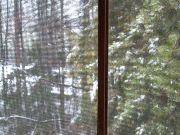 snowmarch25_zpsb2581620.jpg