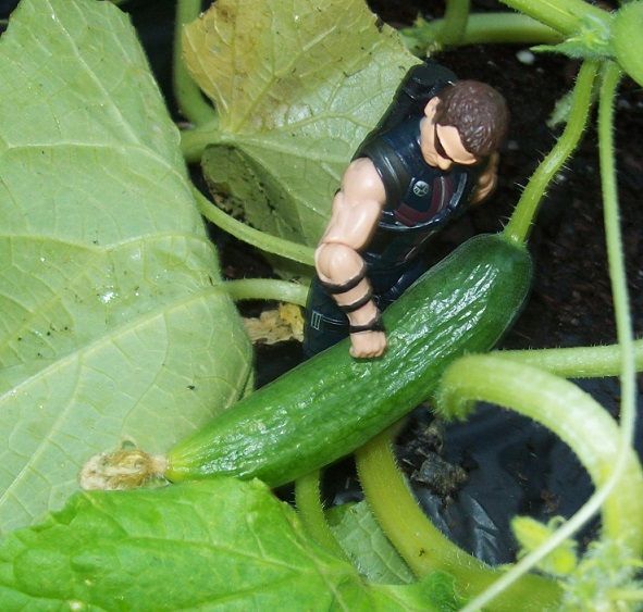 garden%20babies%205_zpssdxpkmmo.jpg
