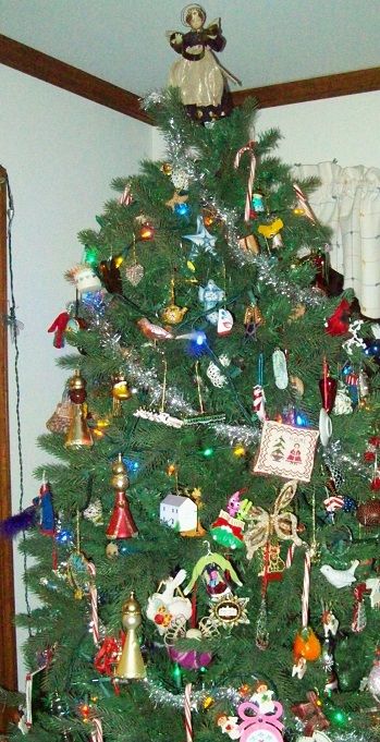 momanddadstree2014a_zpsf9d69f66.jpg