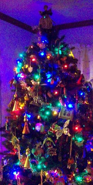 momanddadstree2014b_zps3695f6e8.jpg