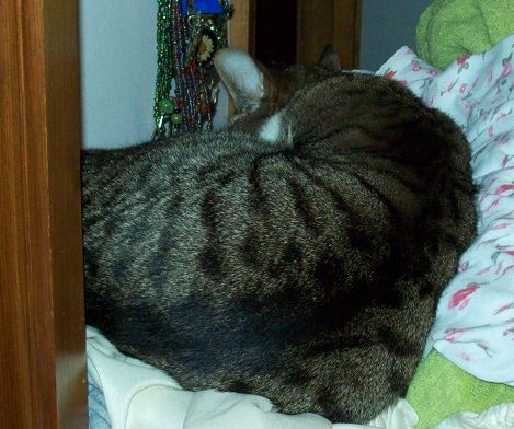 photo rorynesting_zps92fe5896.jpg