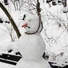 snowavatar.jpg