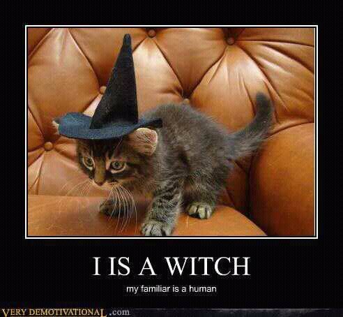 witchycat.jpg