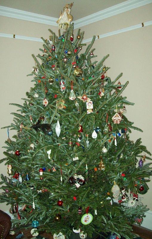 xmas%202015%20h_zpss4nft2cr.jpg