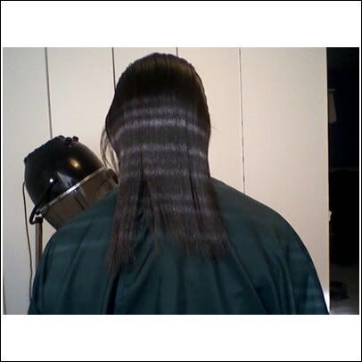 beforecut.jpg