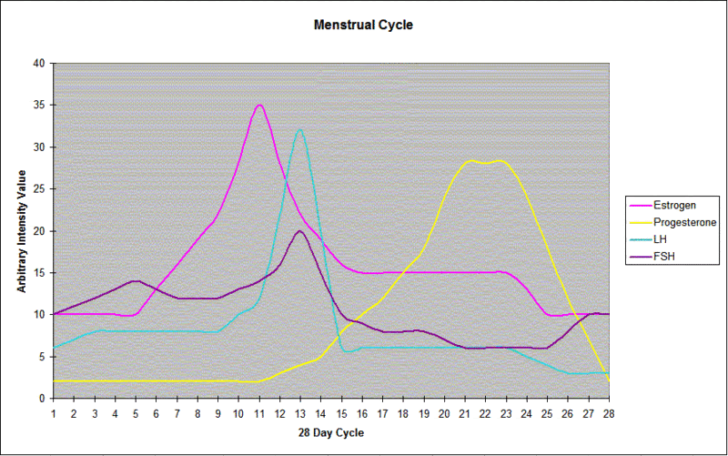 menstral cycle chart. BE Board - Graph of Menstrual