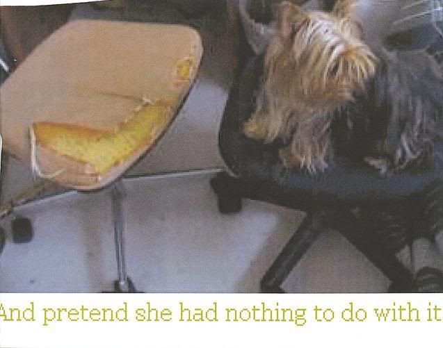 Image hosted by Photobucket.com