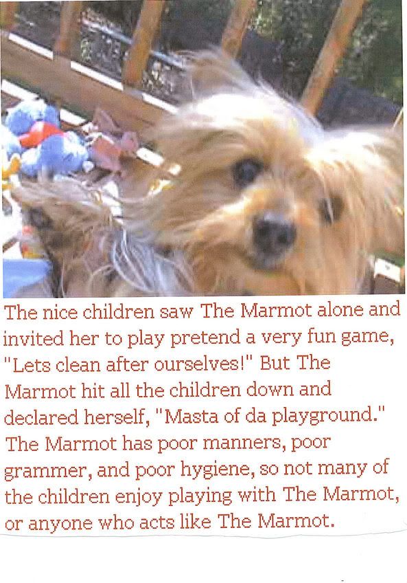 Image hosted by Photobucket.com