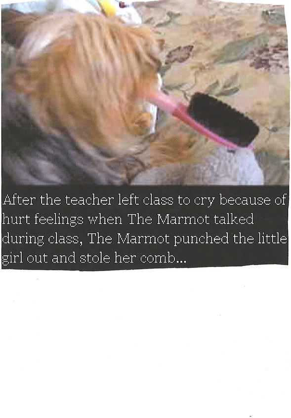 Image hosted by Photobucket.com