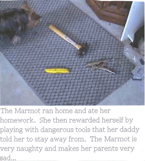 Image hosted by Photobucket.com