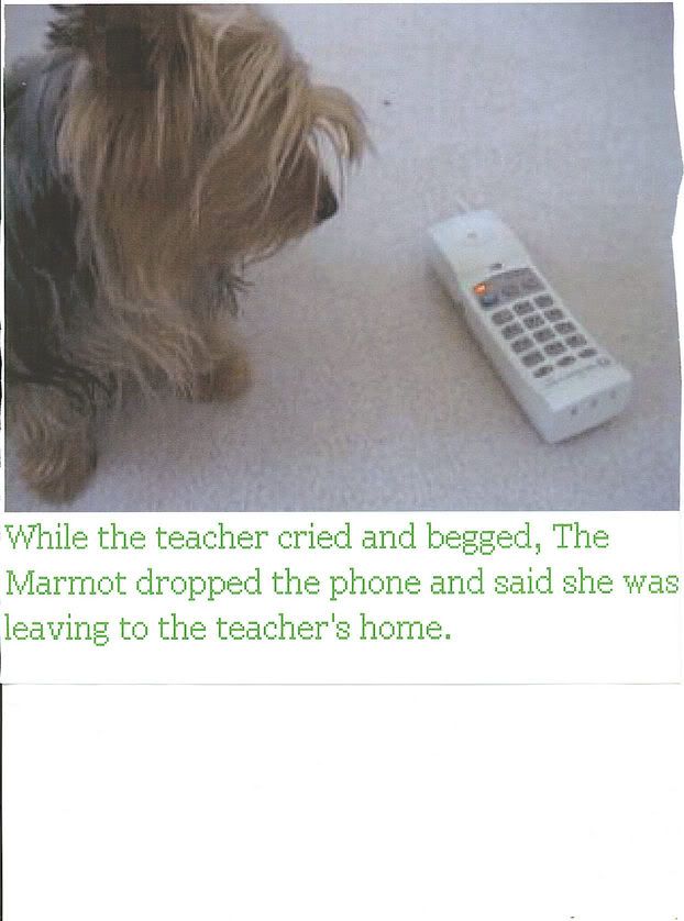 Image hosted by Photobucket.com