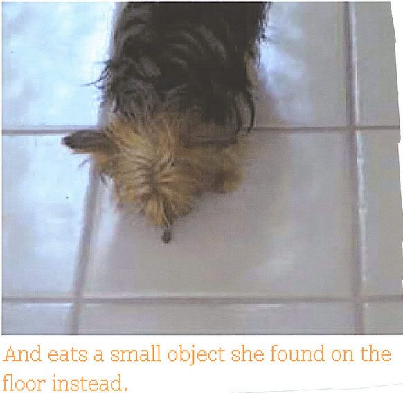 Image hosted by Photobucket.com