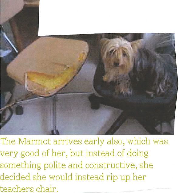 Image hosted by Photobucket.com