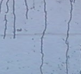 sw