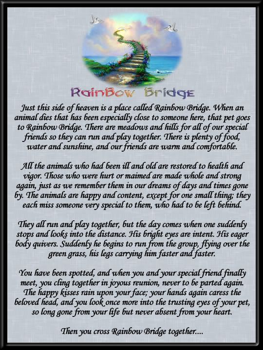 IMAGE: http://img.photobucket.com/albums/v430/JimShorts72287/RainbowBridge.jpg
