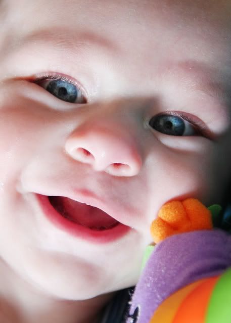 IMAGE: http://img.photobucket.com/albums/v431/cathieek/September2008029copy.jpg